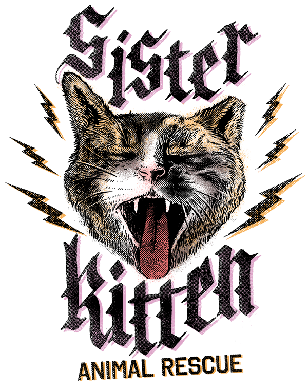 Sister-Kitten-Asheville