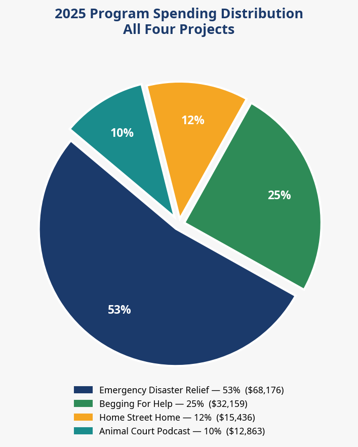 chart2_project_pie